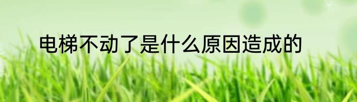 电梯不动了是什么原因造成的