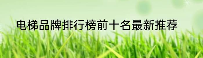 电梯品牌排行榜前十名最新推荐