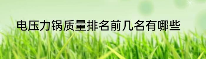 电压力锅质量排名前几名有哪些