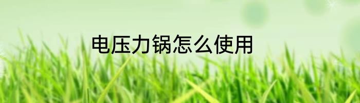 电压力锅怎么使用