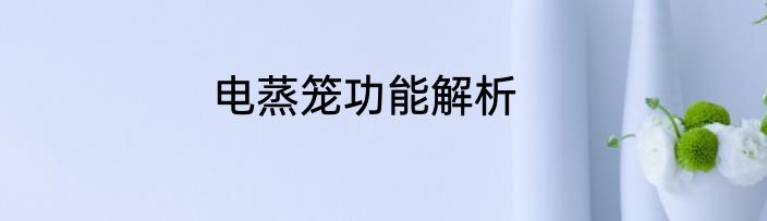 电蒸笼功能解析