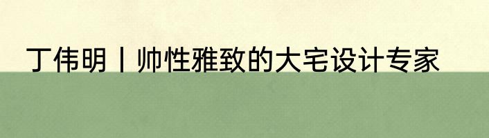 丁伟明丨帅性雅致的大宅设计专家