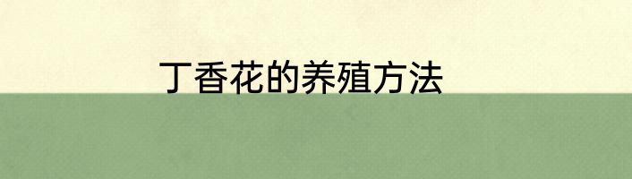 丁香花的养殖方法
