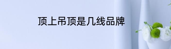 顶上吊顶是几线品牌