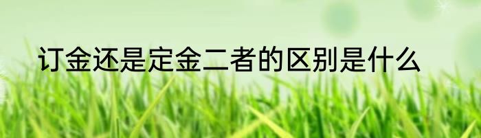 订金还是定金二者的区别是什么