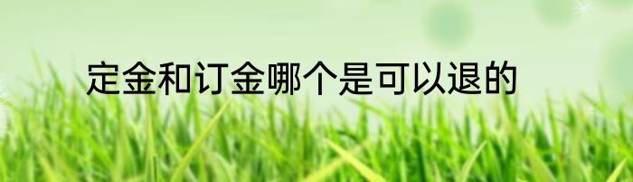 定金和订金哪个是可以退的