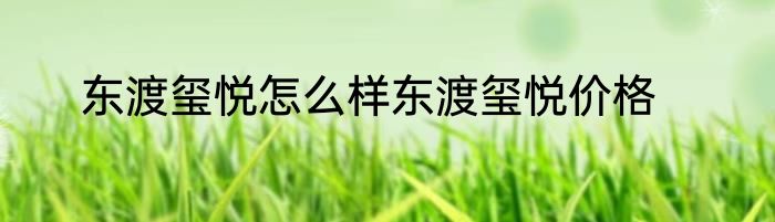 东渡玺悦怎么样东渡玺悦价格