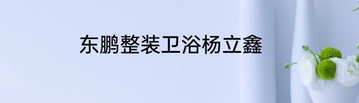 东鹏整装卫浴杨立鑫