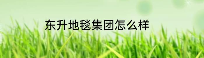 东升地毯集团怎么样