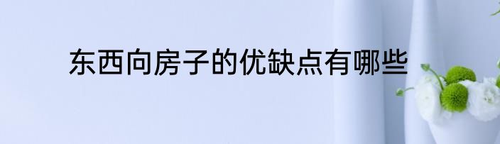 东西向房子的优缺点有哪些