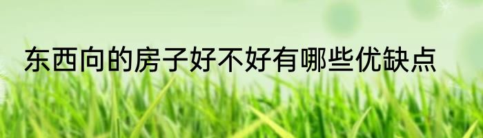 东西向的房子好不好有哪些优缺点