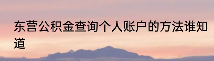 东营公积金查询个人账户的方法谁知道