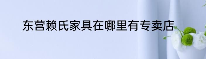 东营赖氏家具在哪里有专卖店