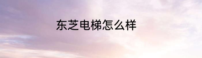 东芝电梯怎么样