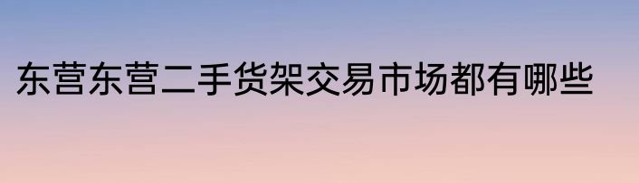 东营东营二手货架交易市场都有哪些