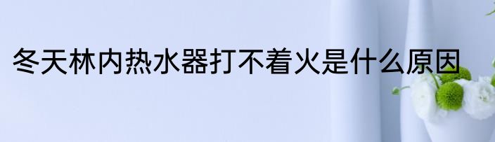冬天林内热水器打不着火是什么原因