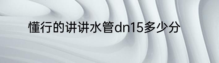 懂行的讲讲水管dn15多少分