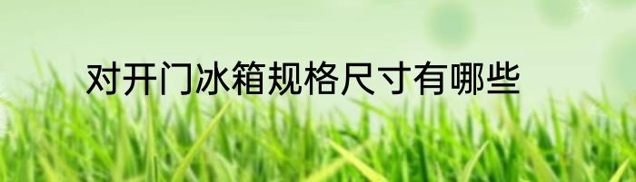 对开门冰箱规格尺寸有哪些