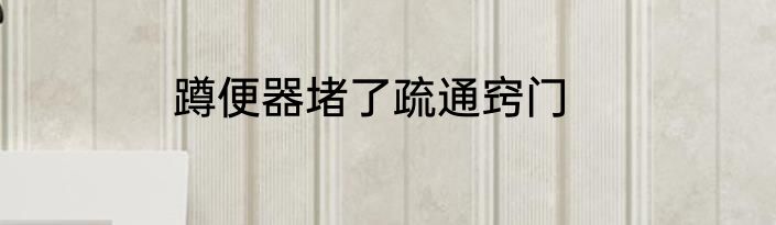 蹲便器堵了疏通窍门