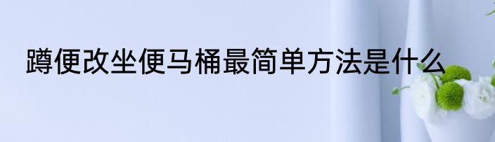 蹲便改坐便马桶最简单方法是什么
