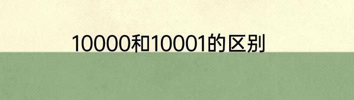 10000和10001的区别