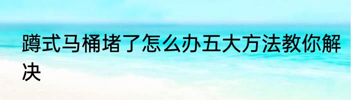 蹲式马桶堵了怎么办五大方法教你解决