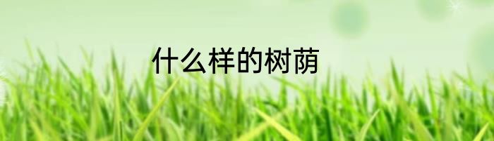 什么样的树荫