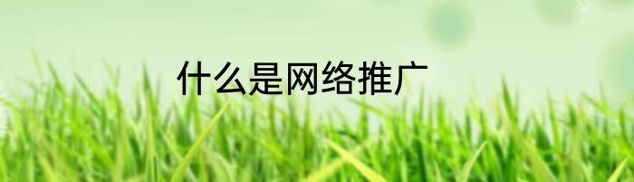 什么是网络推广