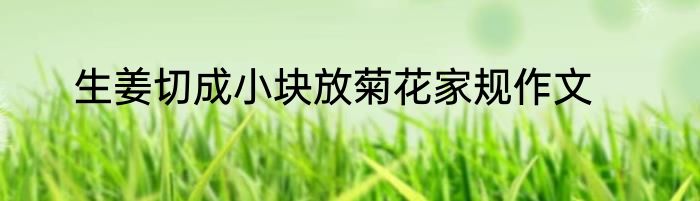 生姜切成小块放菊花家规作文
