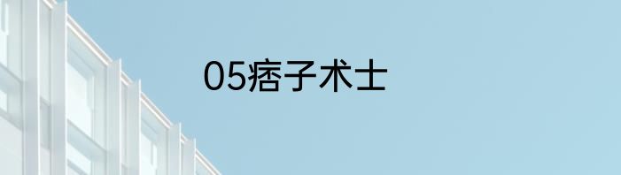 05痞子术士