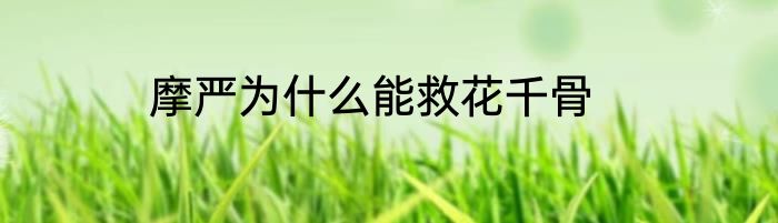 摩严为什么能救花千骨