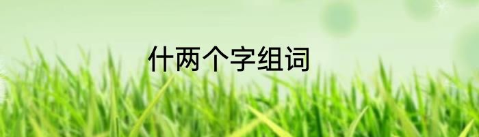 什两个字组词