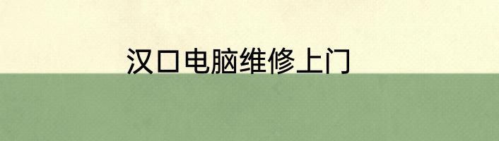 汉口电脑维修上门
