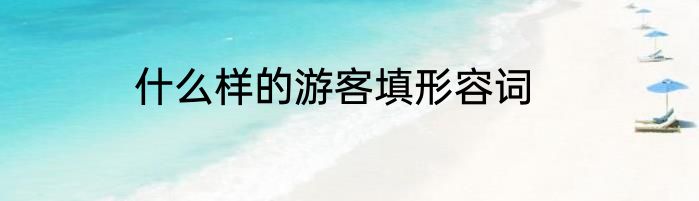 什么样的游客填形容词