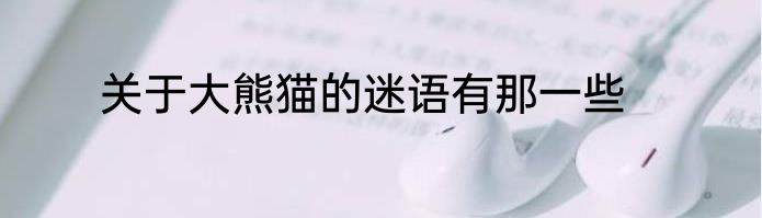 关于大熊猫的迷语有那一些