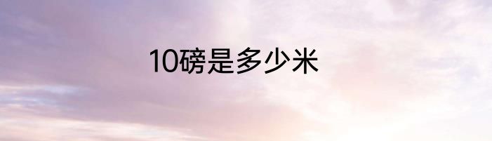 10磅是多少米