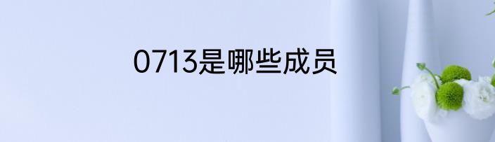 0713是哪些成员