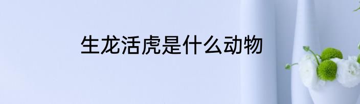 生龙活虎是什么动物