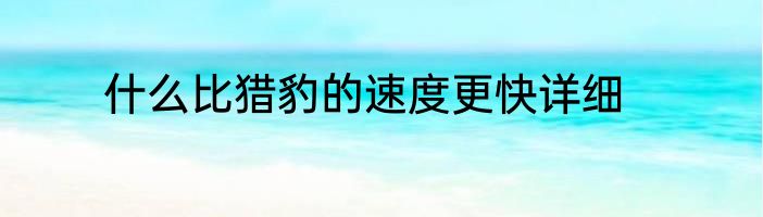 什么比猎豹的速度更快详细