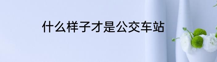 什么样子才是公交车站