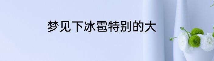 梦见下冰雹特别的大