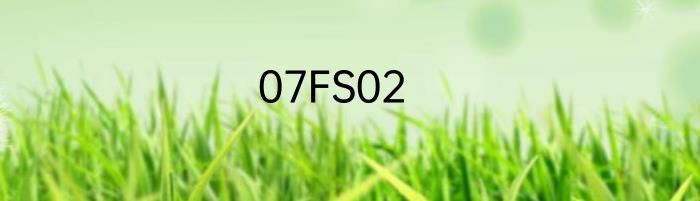 07FS02