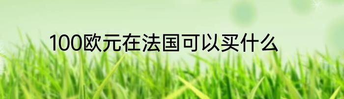 100欧元在法国可以买什么