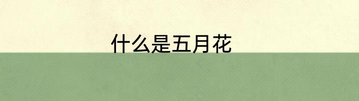 什么是五月花