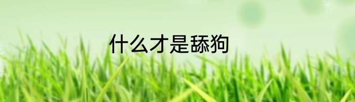 什么才是舔狗
