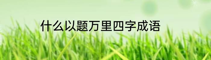 什么以题万里四字成语