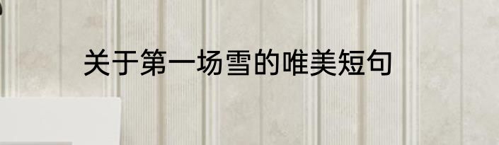 关于第一场雪的唯美短句