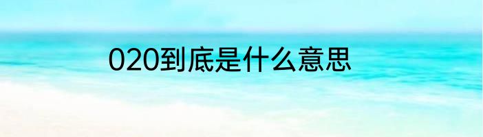 020到底是什么意思