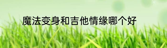 魔法变身和吉他情缘哪个好