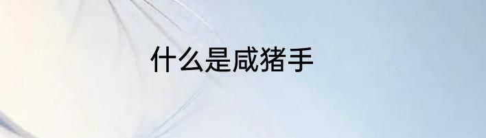 什么是咸猪手